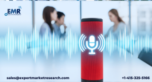 Smart Speaker Market