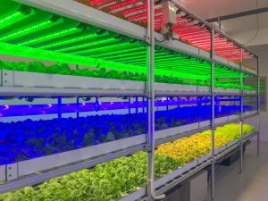 Grow Lights Market