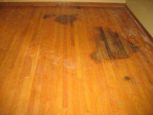 hard wood floor stains