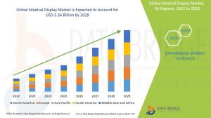 Global Medical Display Market