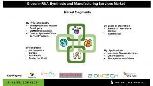 Global mRNA Synthesis and Manufacturing Services Market segment