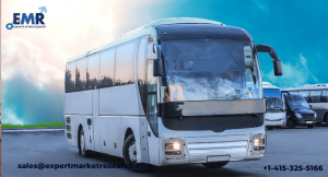 Bus Market