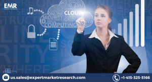 Virtual Private Cloud Market