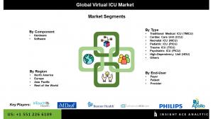 Global Virtual ICU Market seg