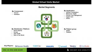 Global Virtual Visits Market seg