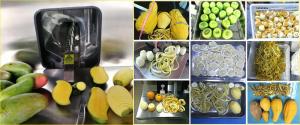 Fruit And Vegetable Peeling Machine Market