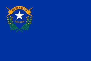 State of Nevada flag in Anthem Pleasant's Toothbrush Pillow Press Release