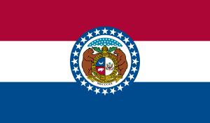 State of Missouri flag in Anthem Pleasant's Toothbrush Pillow Press Release