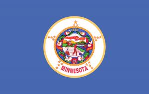 State of Minnesota flag (NN) in Anthem Pleasant's Toothbrush Pillow Press Release