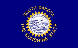 State of South Dakota flag in Anthem Pleasant's Toothbrush Pillow Press Release
