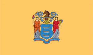 State of New Jersey flag in Anthem Pleasant's Toothbrush Pillow Press Release