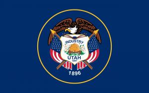 State of Utah flag in Anthem Pleasant's Toothbrush Pillow Press Release