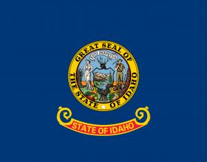 State of Idaho flag in Anthem Pleasant's Toothbrush Pillow Press Release
