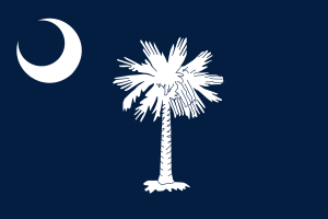 State of South Carolina flag in Anthem Pleasant's Toothbrush Pillow Press Release