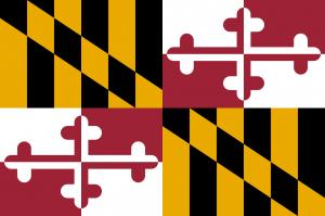 State of Maryland flag in Anthem Pleasant's Toothbrush Pillow Press Release