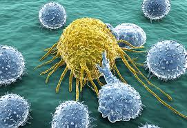 Global Natural Killer Cells Therapeutics Market