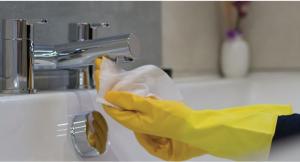 Global Household Wipes Market