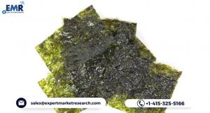 Commercial Seaweed Market