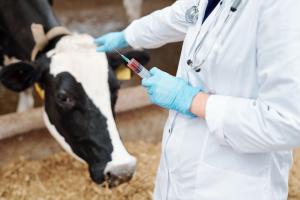 Farm Animal Vaccine Market