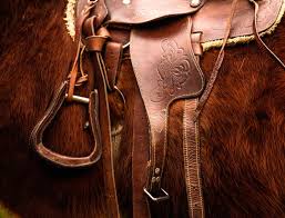 Equestrian Products & Supplies Market