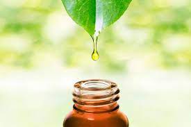 Natural Oil Polyols Market Statistics, Growth Potential and Forecast 2022-2031