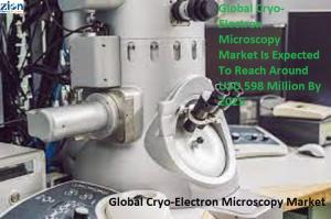 Global Cryo-Electron Microscopy Market