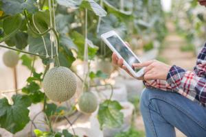 agri sensor