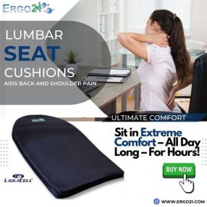 https://www.ergo21.com/ergo21-lumbar-support-cushion/