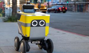 Autonomous Delivery Robots
