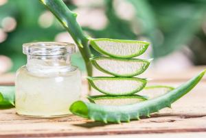 Aloe Vera Gel Extracts