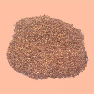Seed Coating Agent market