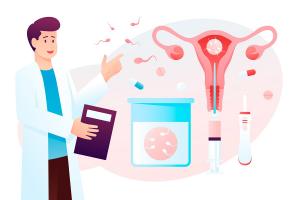 IVF Software Market