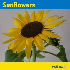 Sunflowers - New Music from Singer-Songwriter Will Diehl