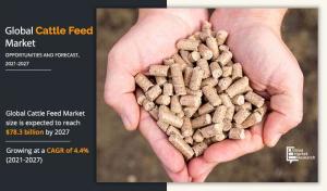 Cattle Feed Market Report