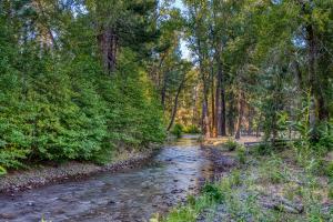 Pine Meadow Ranch Center for Arts and Agriculture: Whychus Creek Art and Science Research Workshop