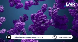 Biocatalysts Market
