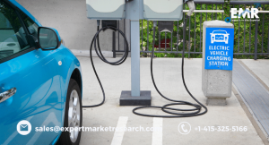 Electric Vehicle Market