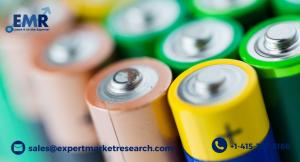 Alkaline Battery Market Share