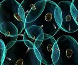 Biophotonics Market
