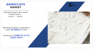 Nanoclays Market