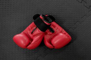 The Fighting Gloves Market