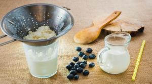 Lactose Free Probiotic Yogurt Market