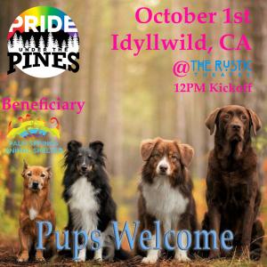 Pride Under The Pines Pride Festival delivers the feeling of community - love and positivity while our a portion of our proceeds will benefit the Palm Springs Animal Shelter.