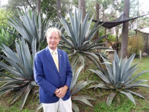 Cactus is one of the plants that starts to colonize degraded land