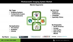 Global Photoacoustic Imaging System Market segment