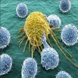 Bladder Cancer Therapeutics Market Size