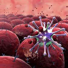 Bladder Cancer Therapeutics Market Share