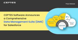 Data Management Suite (DMS) for Salesforce