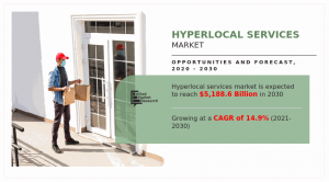 Hyperlocal Services Market Size and Share