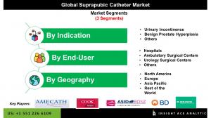 Global Suprapubic Catheter Market seg